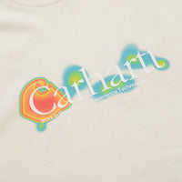 Carhartt Experiential T-Shirt - Salt thumbnail