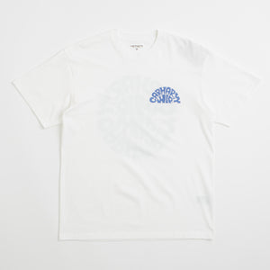 White / Blue Iris