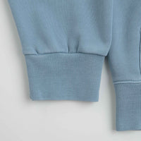 Carhartt Nelson Hoodie in Clay Blue thumbnail