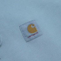 Carhartt Nelson Hoodie in Clay Blue thumbnail