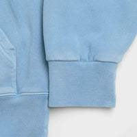 Carhartt Nelson Hoodie in Clay Blue thumbnail