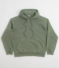 Carhartt Nelson Hoodie in Park