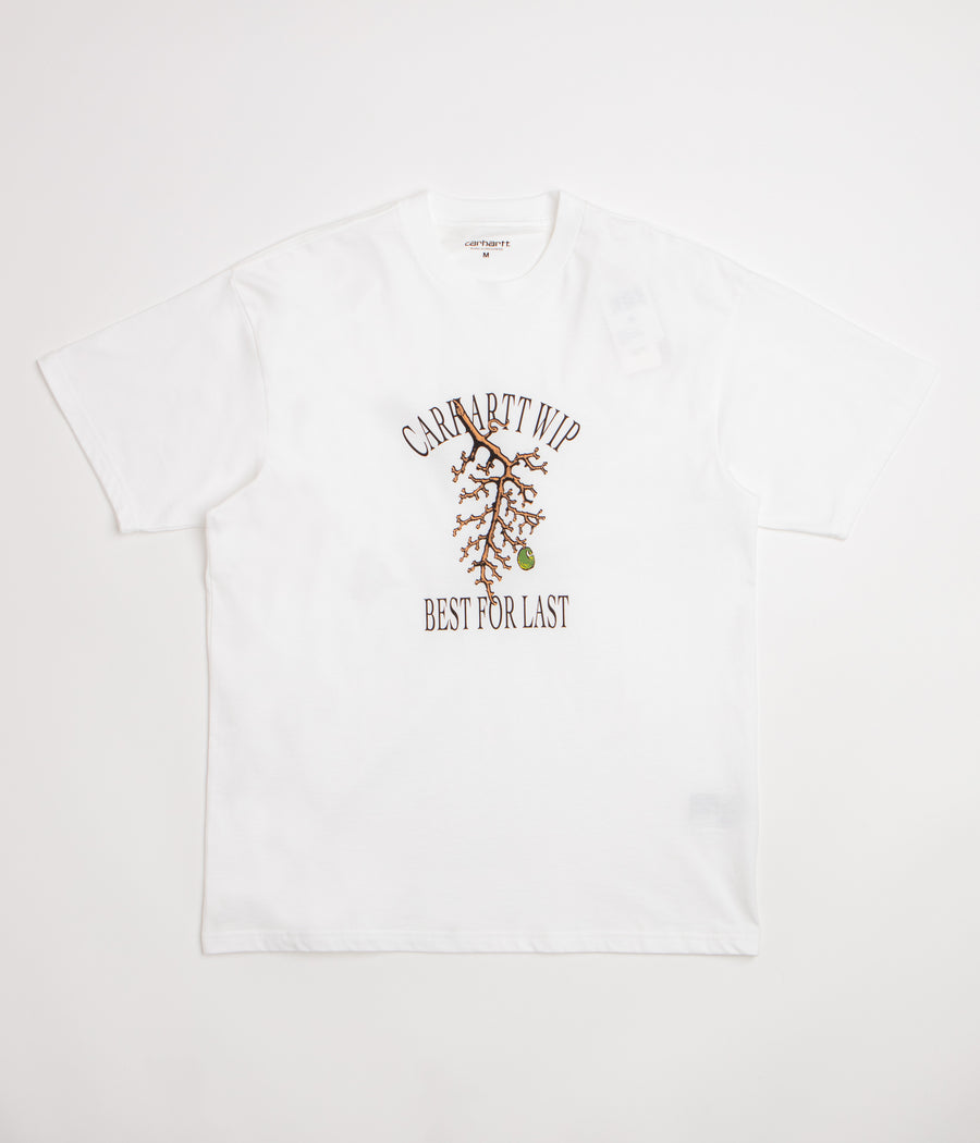 Carhartt Restraint T-Shirt in White