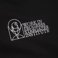 Carhartt Stargazer Hoodie in Black and White thumbnail