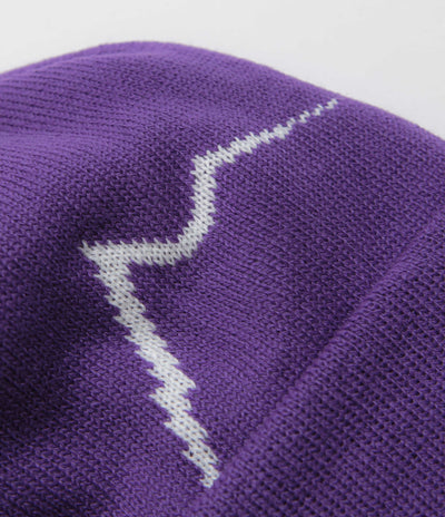 Cayl Logo Long Beanie in Violet