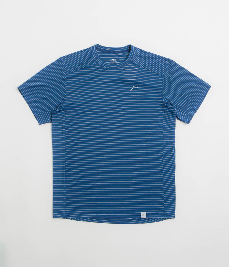 Cayl Stripe Logo T-Shirt in Blue