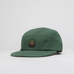 Rain Forest / Pinecone