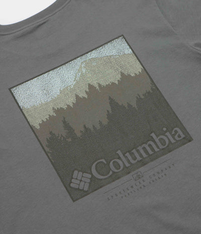 Columbia CSC Graphic Long Sleeve T-Shirt - Sedona Sage / Textured Scene