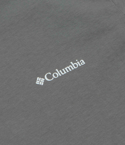 Columbia CSC Graphic Long Sleeve T-Shirt - Sedona Sage / Textured Scene