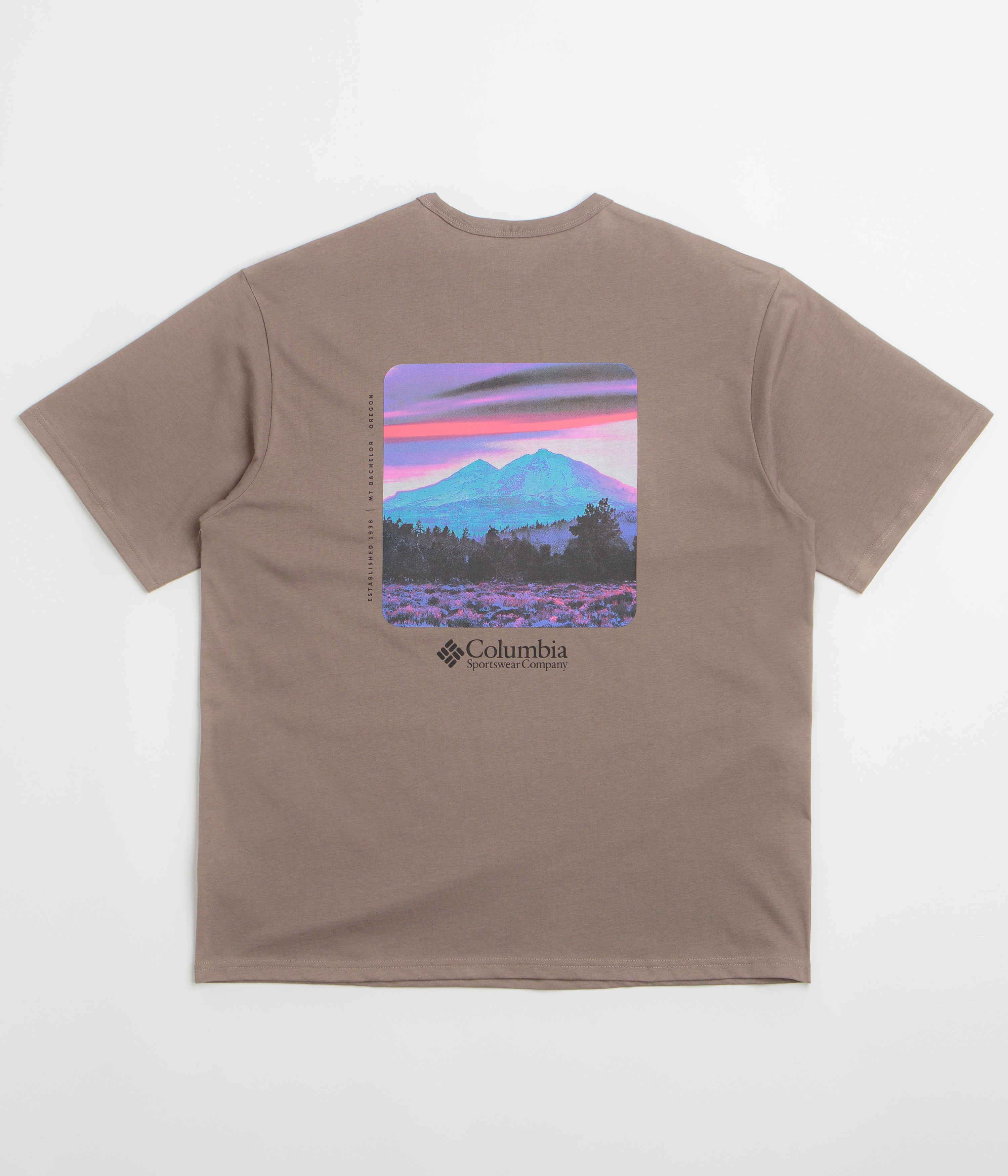 Columbia CSC Heavyweight Back Graphic T-Shirt - Iron / Photoreal CMYK