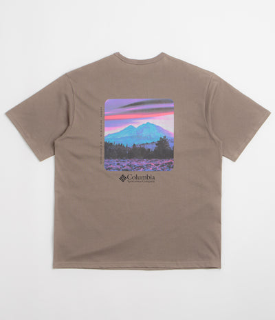 Columbia CSC Heavyweight Back Graphic T-Shirt - Iron / Photoreal CMYK