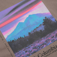 Columbia CSC Heavyweight Back Graphic T-Shirt - Iron / Photoreal CMYK thumbnail