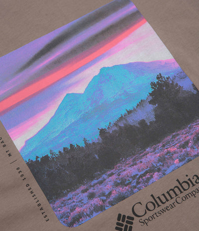 Columbia CSC Heavyweight Back Graphic T-Shirt - Iron / Photoreal CMYK