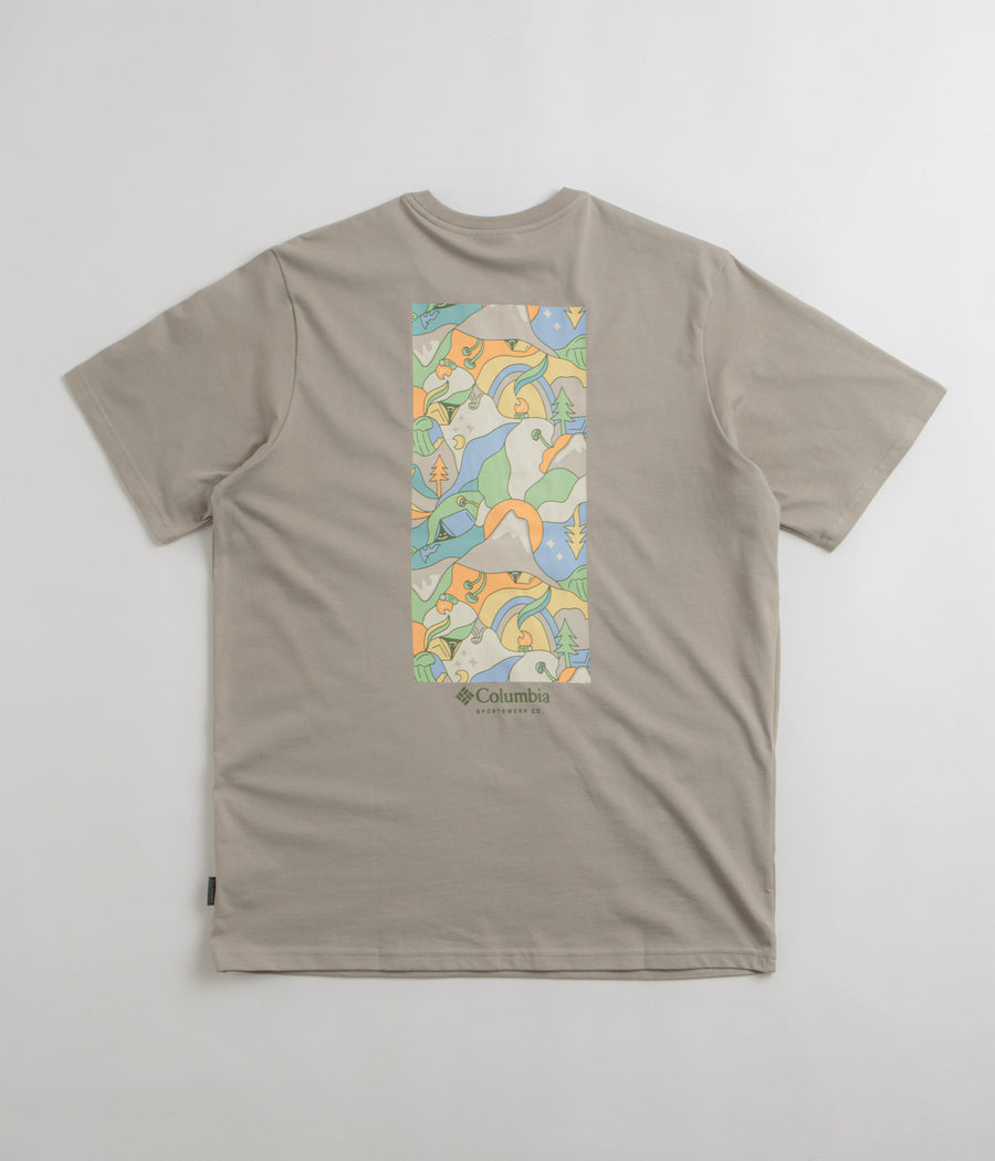 Columbia Explorers Canyon Back T-Shirt in Flint Grey and Epicamp Graphic