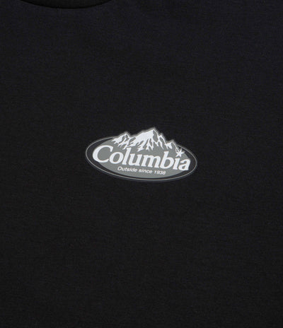 Columbia Heavyweight T-Shirt - Black / Snowy Peaks