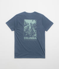 Columbia Rapid Ridge Back Graphic II T-Shirt in Dark Mountain and Amazing Heights