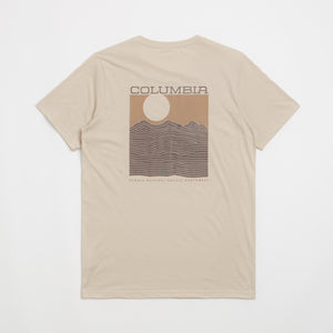 Dark Stone / Framed Landscape