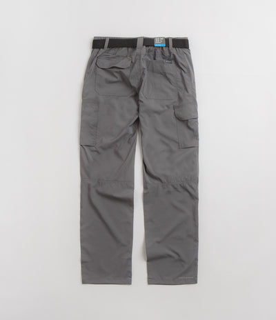 Columbia silver on sale ridge pants