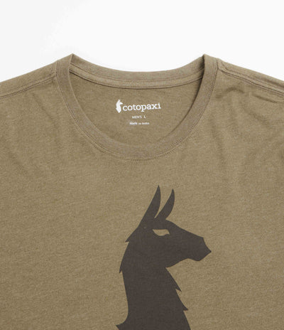 Cotopaxi Llama T-Shirt in Live Oak