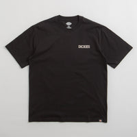Dickies Beach T-Shirt in Black thumbnail