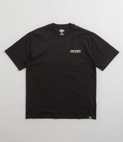 Dickies Beach T-Shirt in Black
