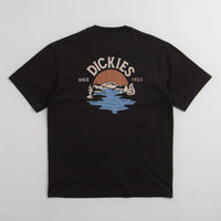 Dickies Beach T-Shirt in Black thumbnail