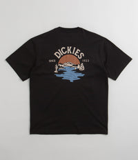 Dickies Beach T-Shirt in Black