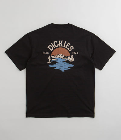 Dickies Beach T-Shirt in Black