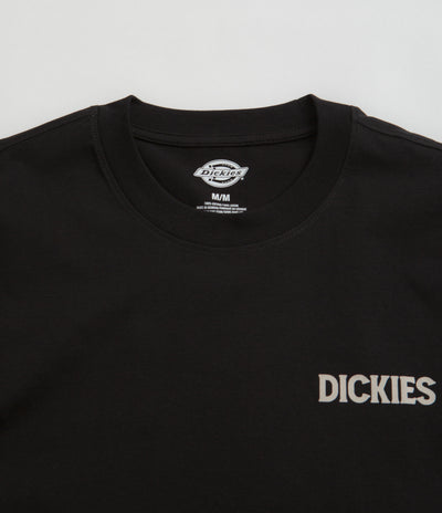 Dickies Beach T-Shirt in Black