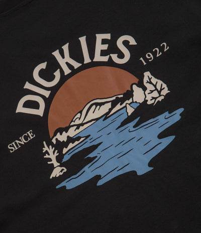 Dickies Beach T-Shirt in Black