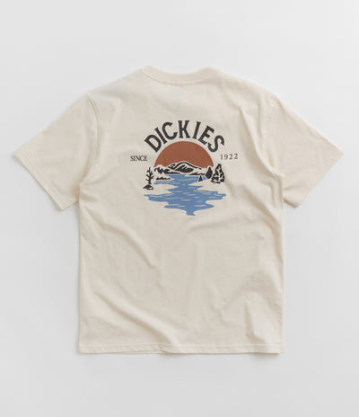 Dickies Beach T-Shirt in Whitecap Grey