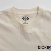 Dickies Beach T-Shirt in Whitecap Grey thumbnail