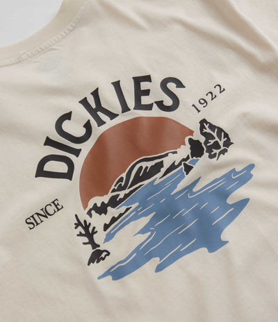 Dickies Beach T-Shirt in Whitecap Grey