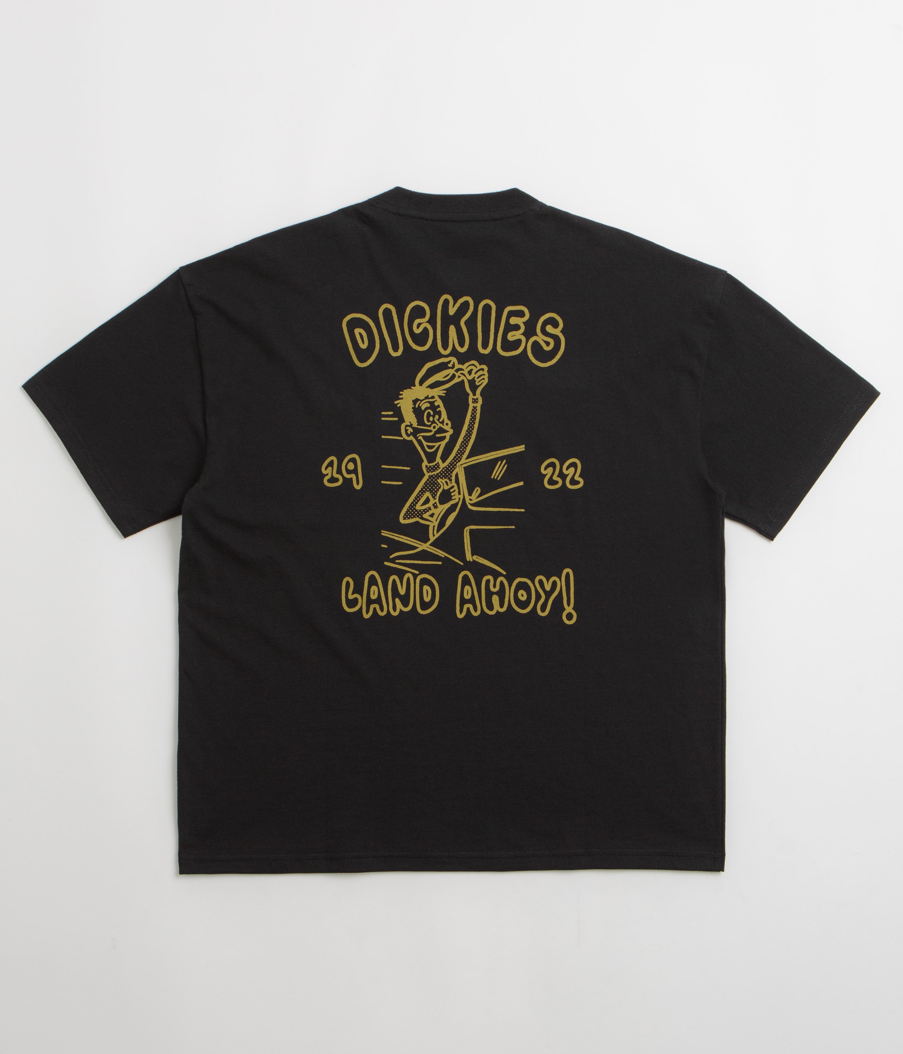 Dickies Decartuville T-Shirt in Black