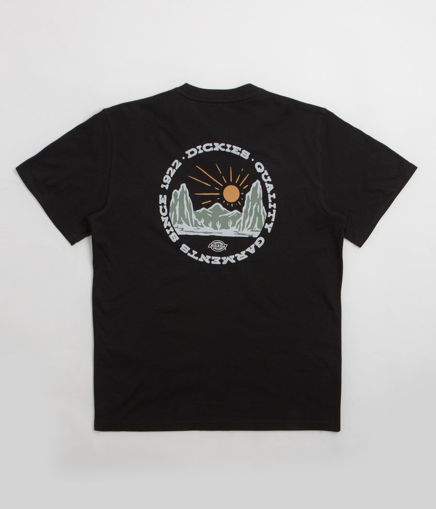 Dickies Dickies Outdoor T-Shirt in Black