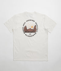 Dickies Dickies Outdoor T-Shirt in Egret