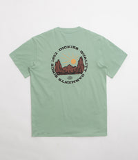 Dickies Dickies Outdoor T-Shirt in Iceberg Green