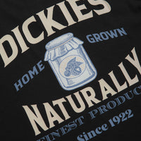 Dickies Elliston T-Shirt - Black thumbnail