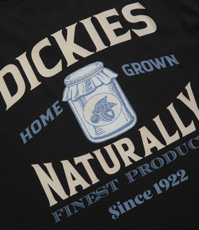 Dickies Elliston T-Shirt - Black