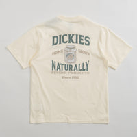 Dickies Elliston T-Shirt in Cloud thumbnail
