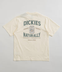 Dickies Elliston T-Shirt in Cloud