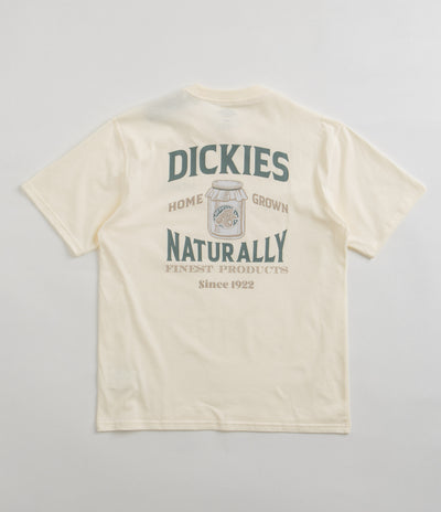 Dickies Elliston T-Shirt in Cloud