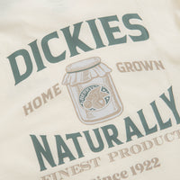 Dickies Elliston T-Shirt in Cloud thumbnail