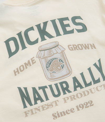 Dickies Elliston T-Shirt in Cloud