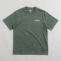 Dickies Elliston T-Shirt in Dark Forest thumbnail