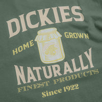 Dickies Elliston T-Shirt in Dark Forest thumbnail