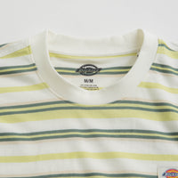 Dickies Glade Spring T-Shirt in Cloud thumbnail
