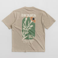 Dickies Herndon T-Shirt in Sandstone thumbnail