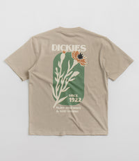 Dickies Herndon T-Shirt in Sandstone