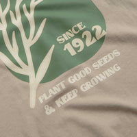 Dickies Herndon T-Shirt in Sandstone thumbnail